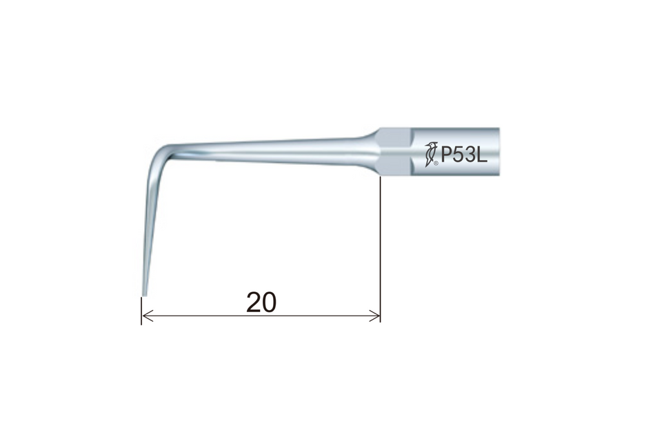 Periodontal spids P53L
