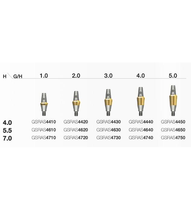 Rigid Abutment D Ø4.0 R