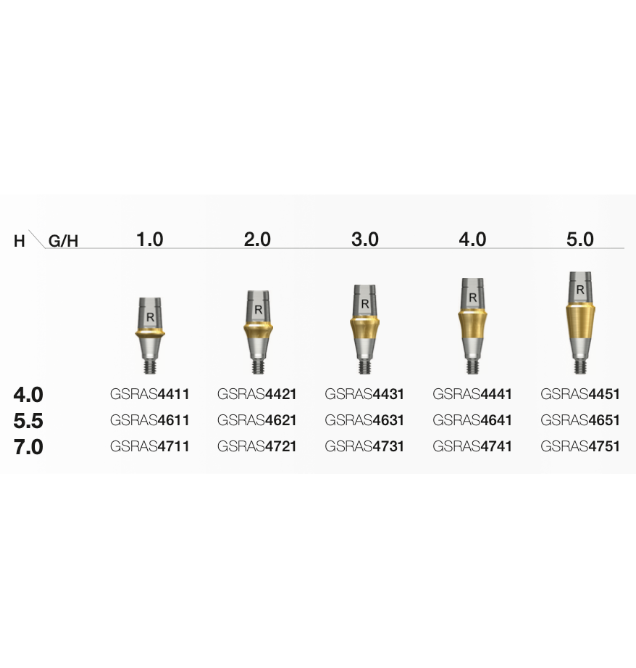 Rigid Abutment D Ø4.5 R