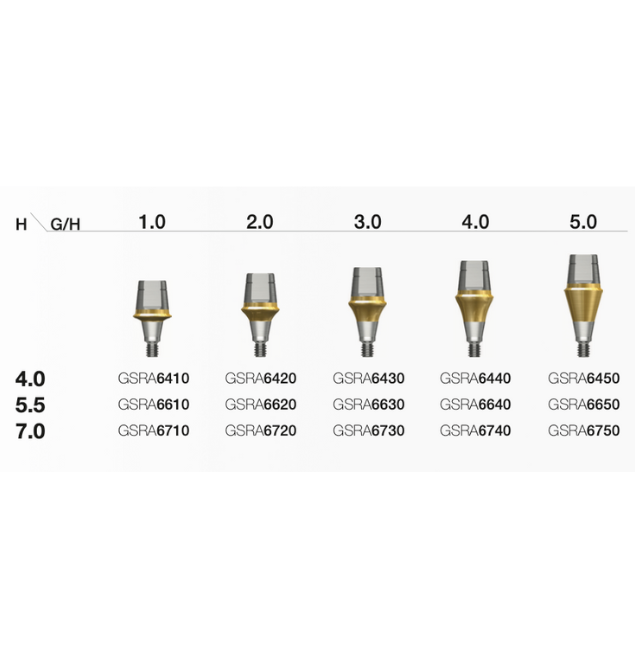 Rigid Abutment D Ø6.0 R